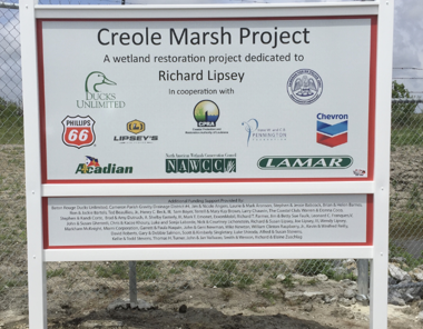 Creole Marsh Project