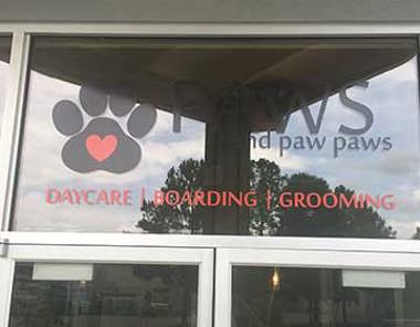 Paws Window Decal